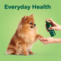Everyday Health