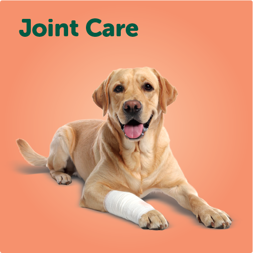 Joint Care