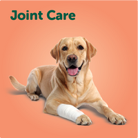 Joint Care