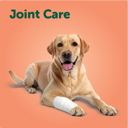 Joint Care