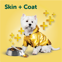 Skin & Coat