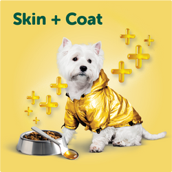 Skin & Coat