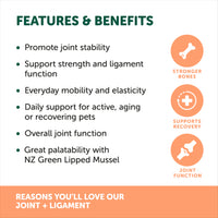 NAS Joint & Ligament™ 120g