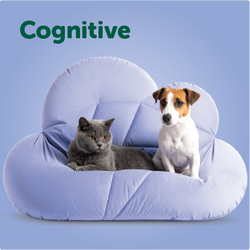 Cognitive