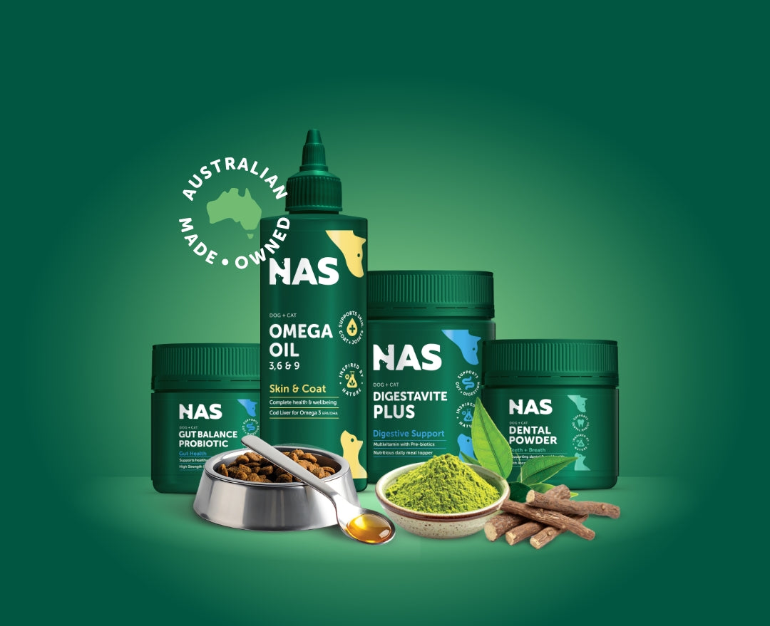 Wellness Bundles