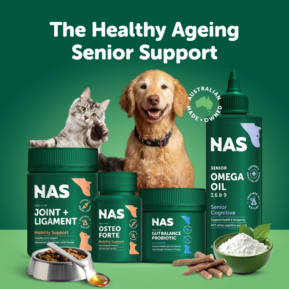 The Healthy Ageing Senior Support