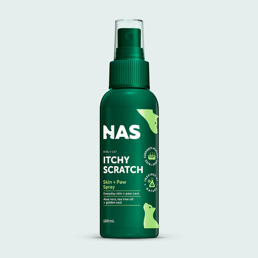 NAS Itchy Scratch