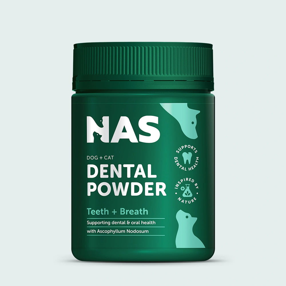 NAS Dental Powder