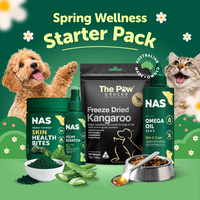 Spring Wellness Starter Pack