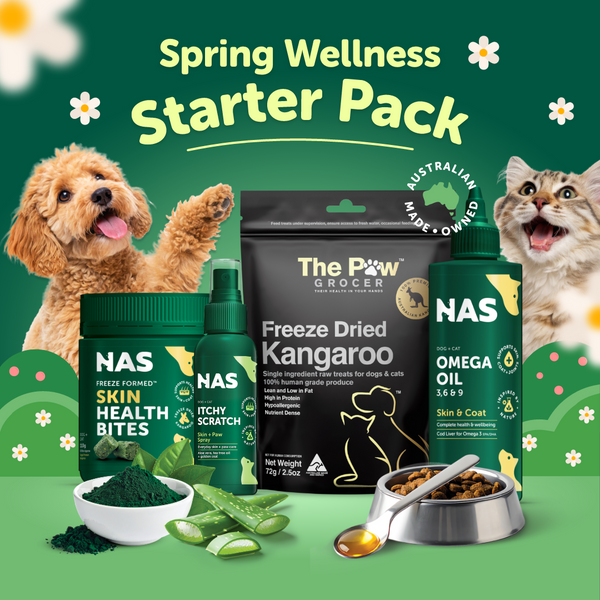 Spring Wellness Starter Pack