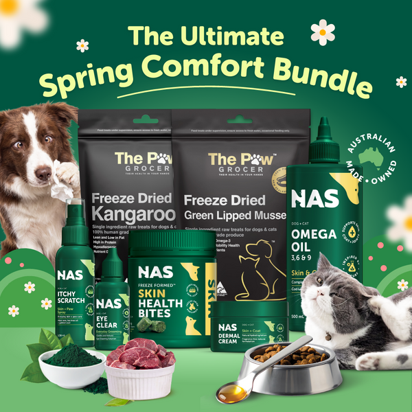 Ultimate Spring Comfort Bundle