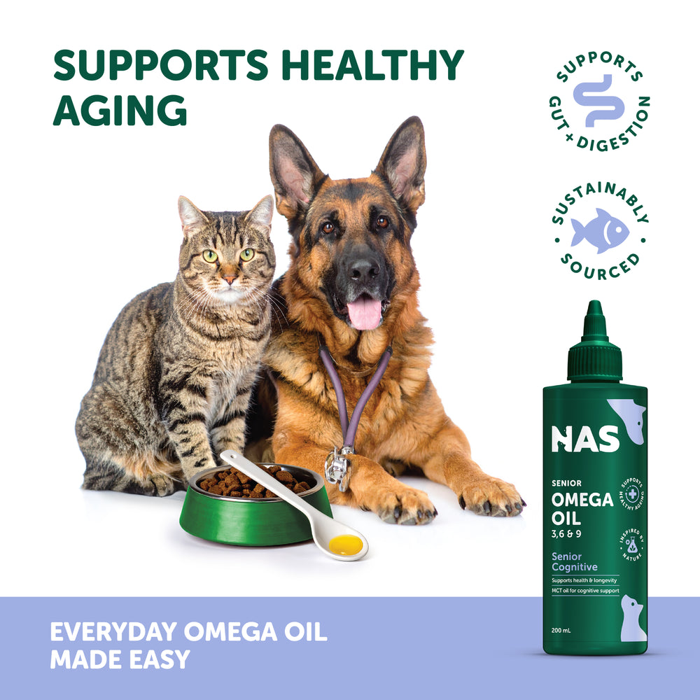 NAS Omega Oil - Senior Cognitive™