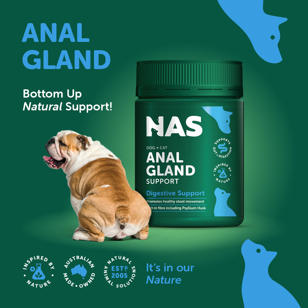Anal Gland Support™