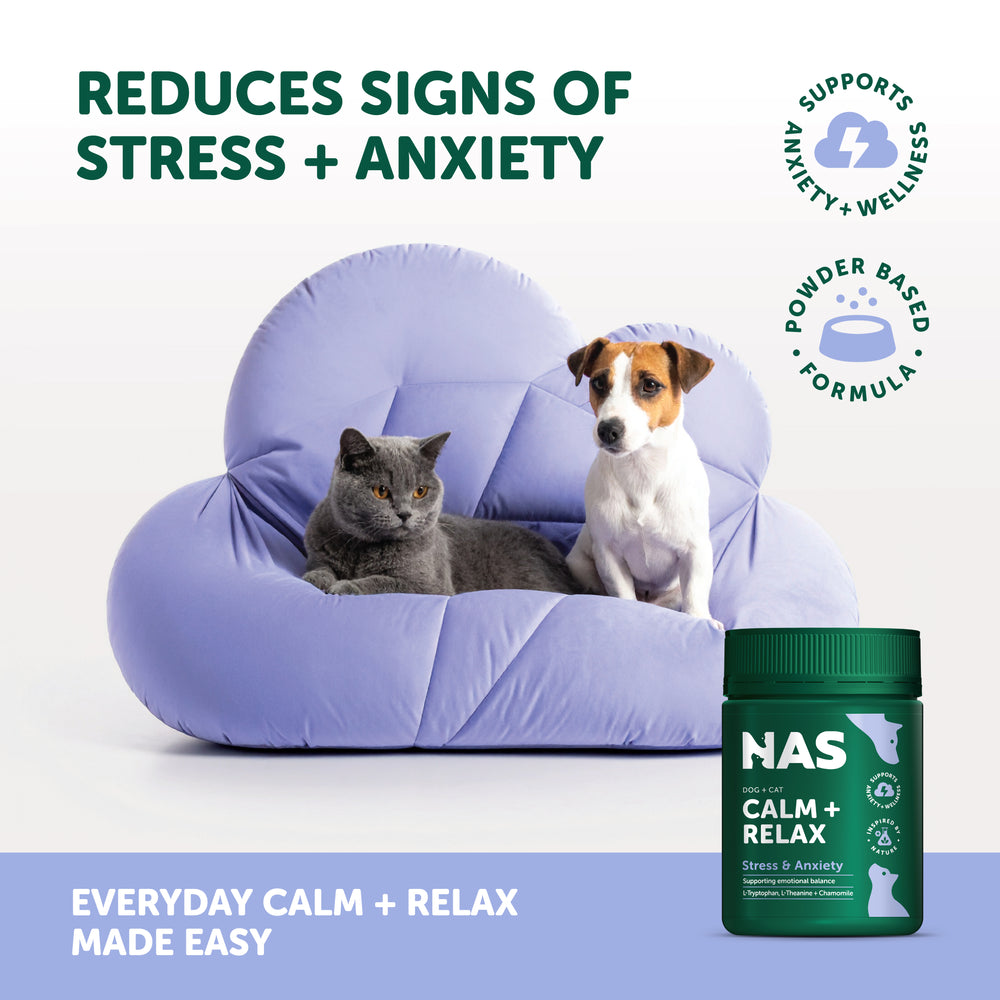 NAS Calm & Relax™