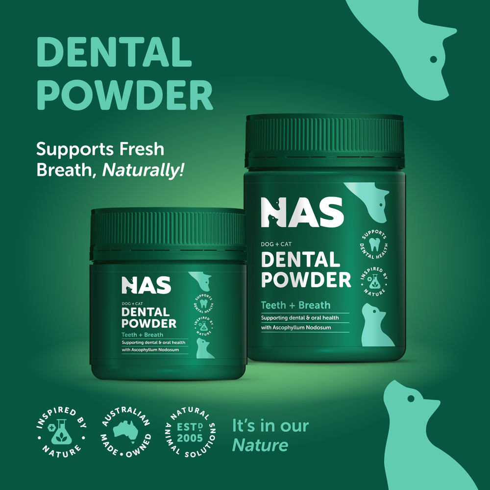 NAS Dental Powder™