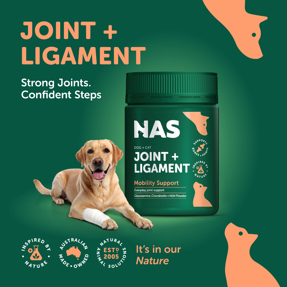 NAS Joint & Ligament™ 120g