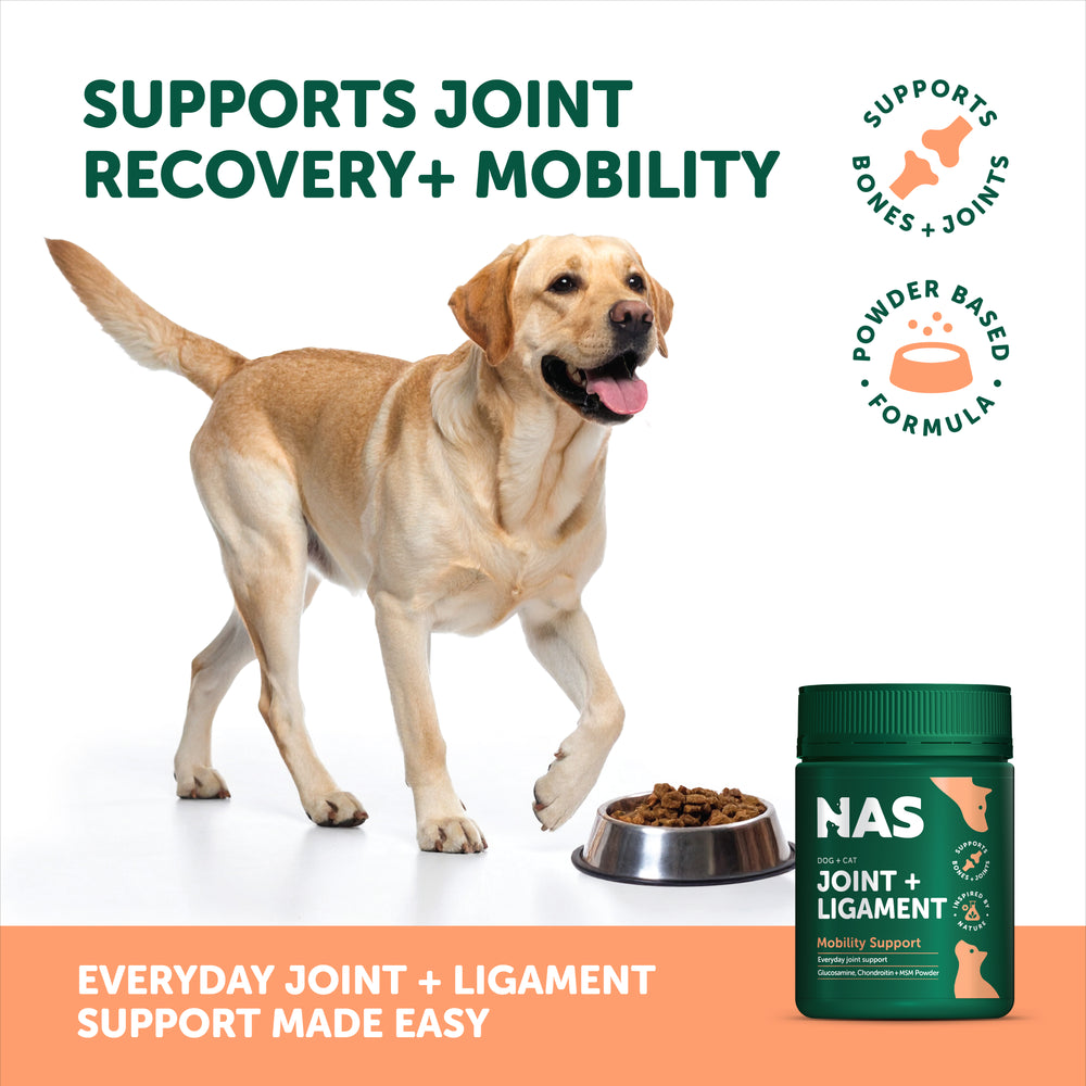 NAS Joint & Ligament™ 120g