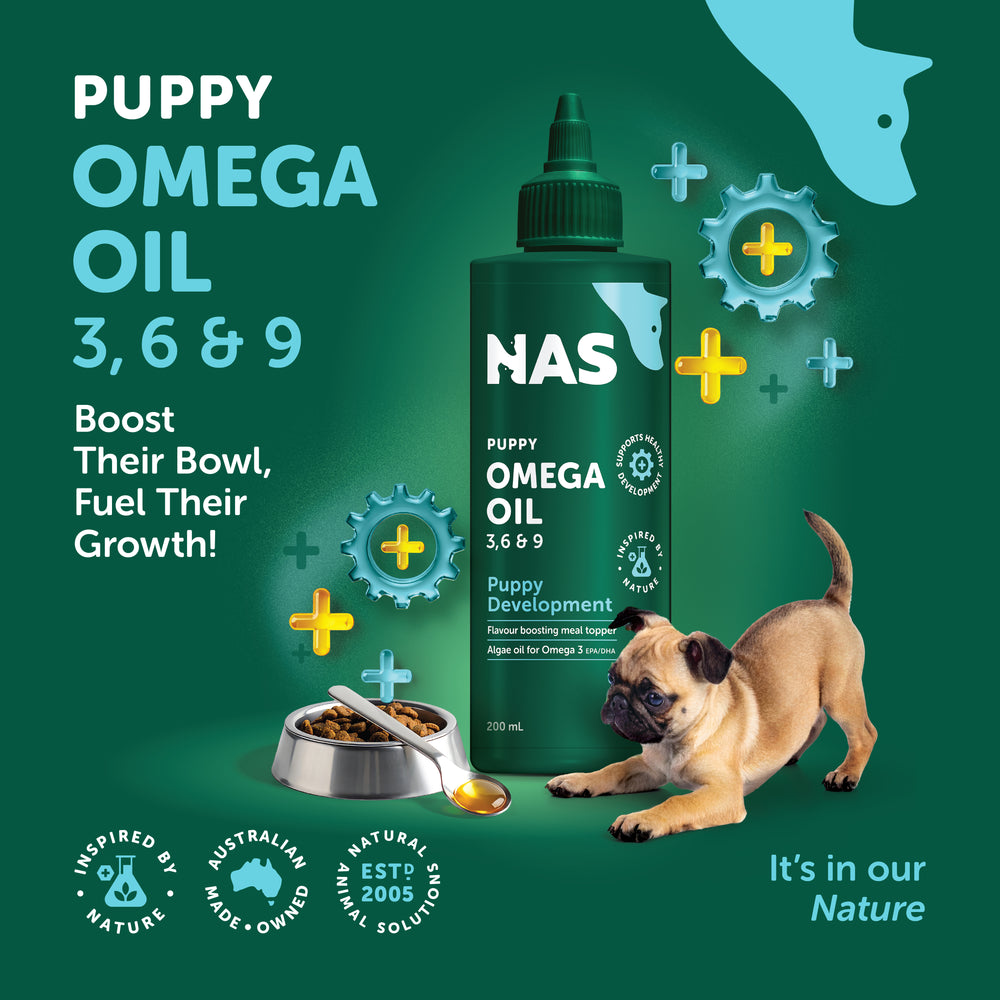 NAS Omega Oil - Puppy Development™