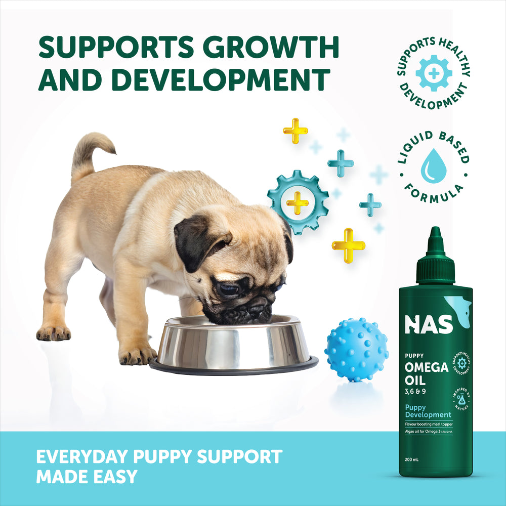 NAS Omega Oil - Puppy Development™