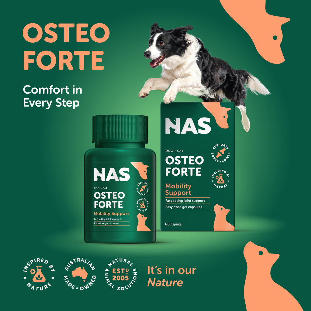 NAS OsteoForte™
